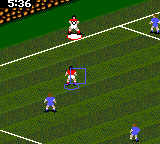 FIFA Soccer 1996 Screenthot 2